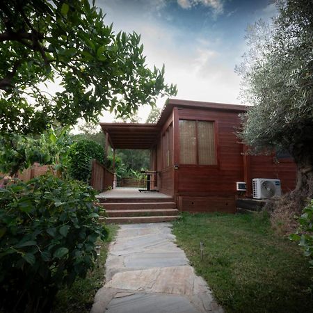 El Jardin Del Eden Villa Orgiva Exteriör bild