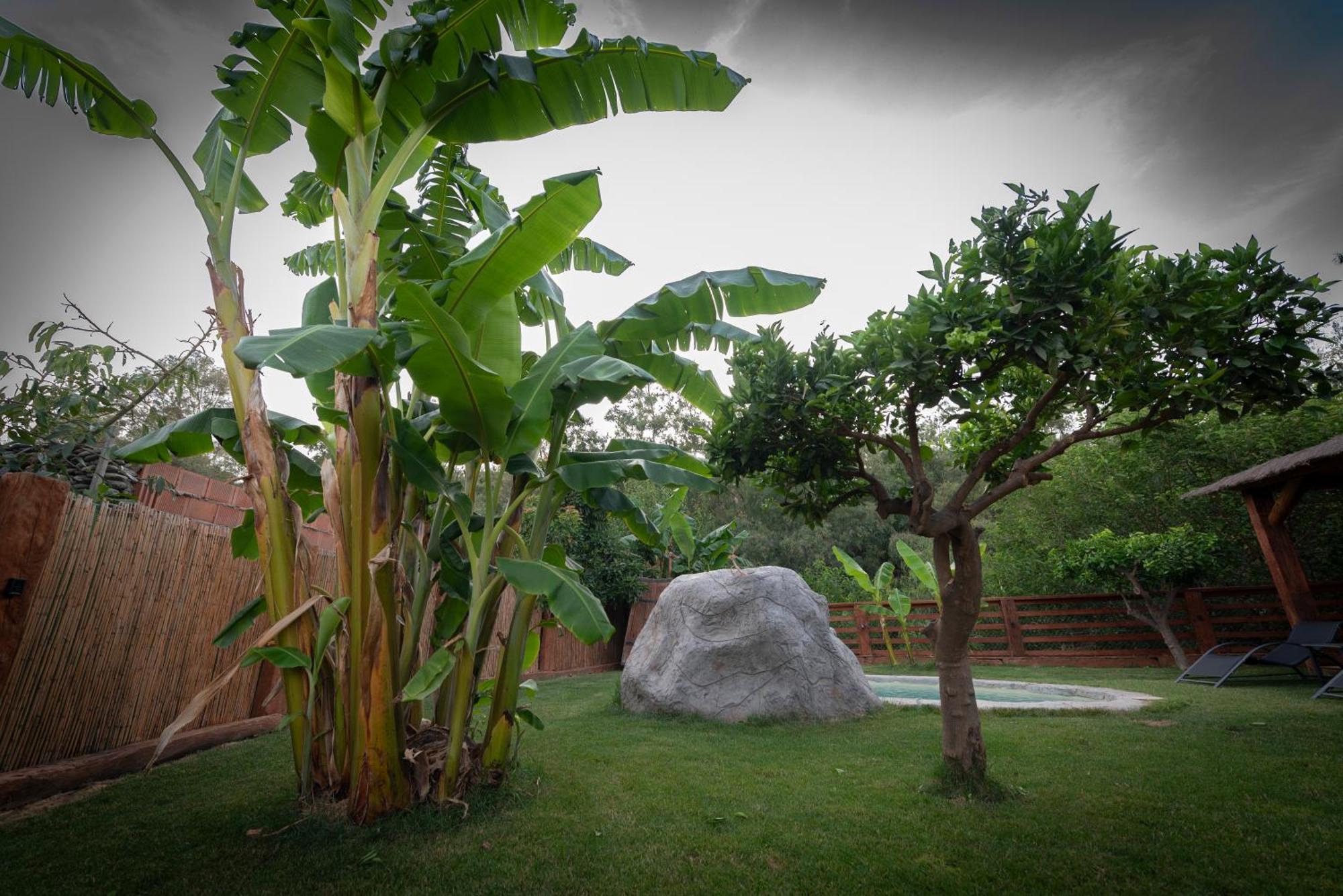 El Jardin Del Eden Villa Orgiva Exteriör bild